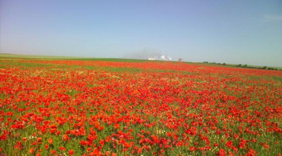 Les Coquelicots En Baie De Somme Villa Saint-Blimont Dış mekan fotoğraf